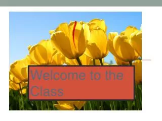Welcome to the Class