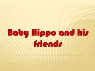 Baby Hippo and his friends