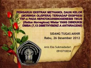 Anis Eka Sukmadadari 0910710034