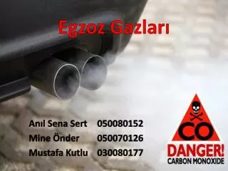 egzoz gazlar