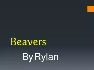 Beavers