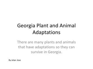 Georgia Plant and Animal Adaptations