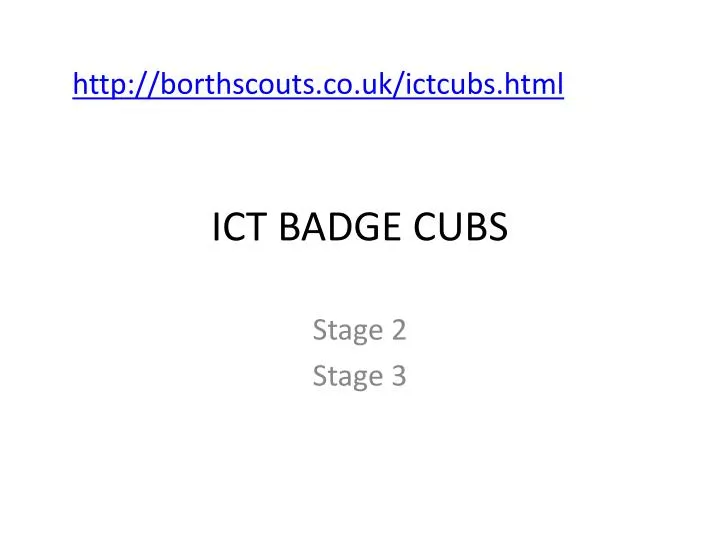 ict badge cubs