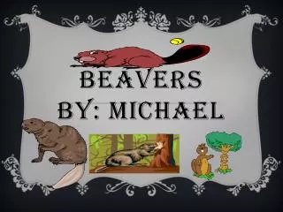 Beavers By: Michael