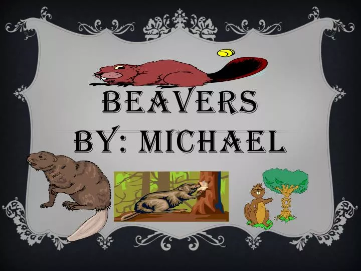 beavers by michael