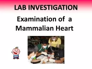 LAB INVESTIGATION