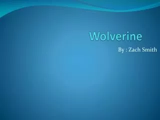 Wolverine