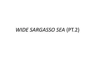 WIDE SARGASSO SEA (PT.2)