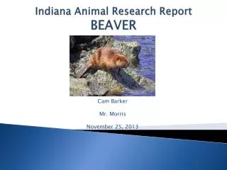 Indiana Animal Research Report BEAVER