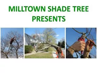 Milltown Shade Tree presents