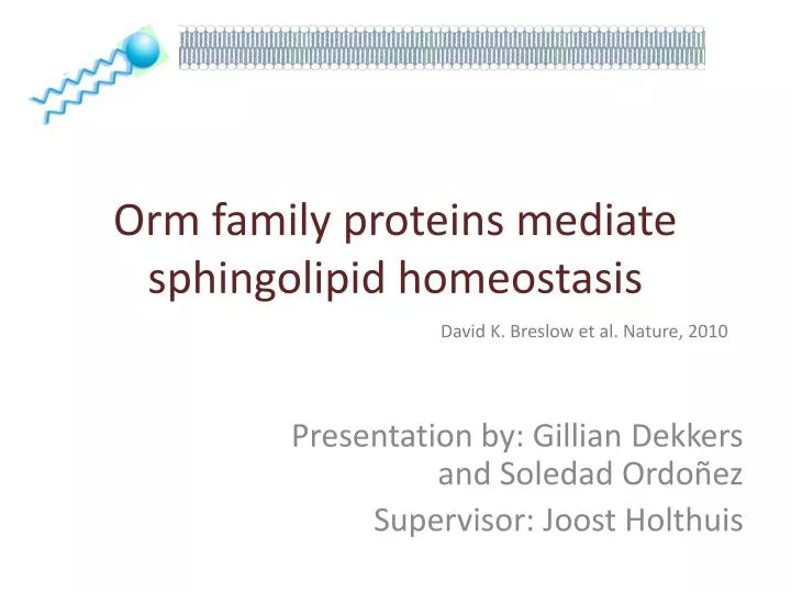 orm family proteins mediate sphingolipid homeostasis