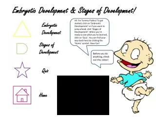 Embryotic Development &amp; Stages of Development!