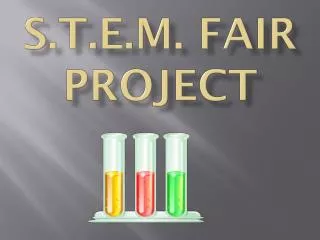 s.t.e.m . fair project
