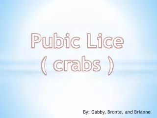 Pubic Lice ( crabs )