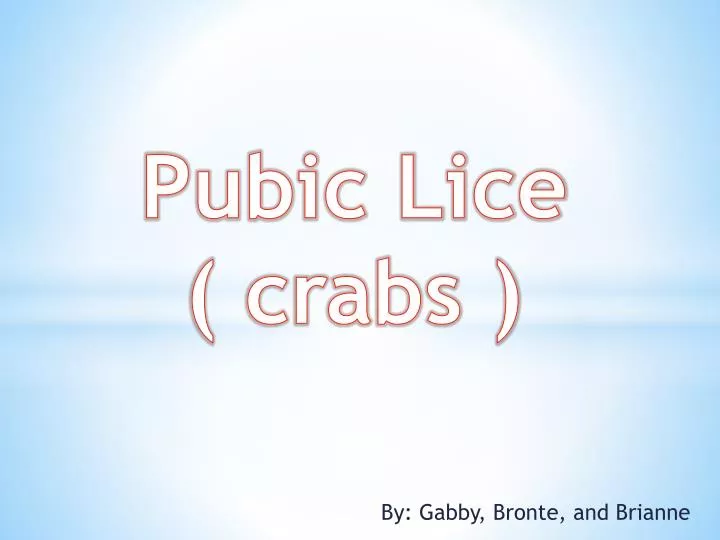 pubic lice crabs