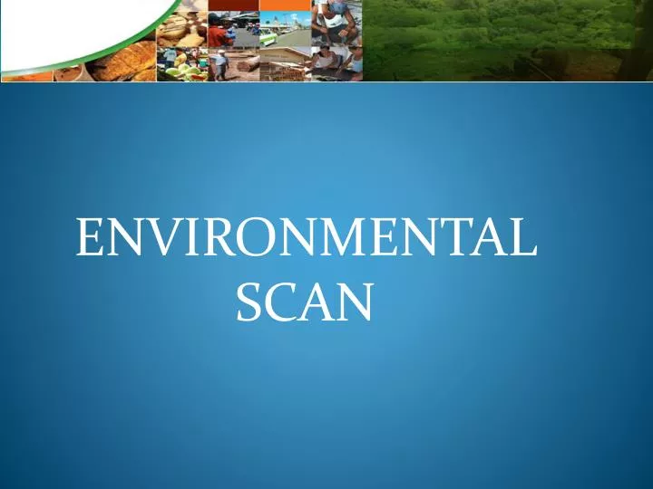 environmental scan