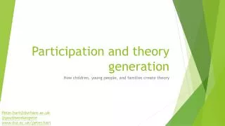 Participation and theory generation