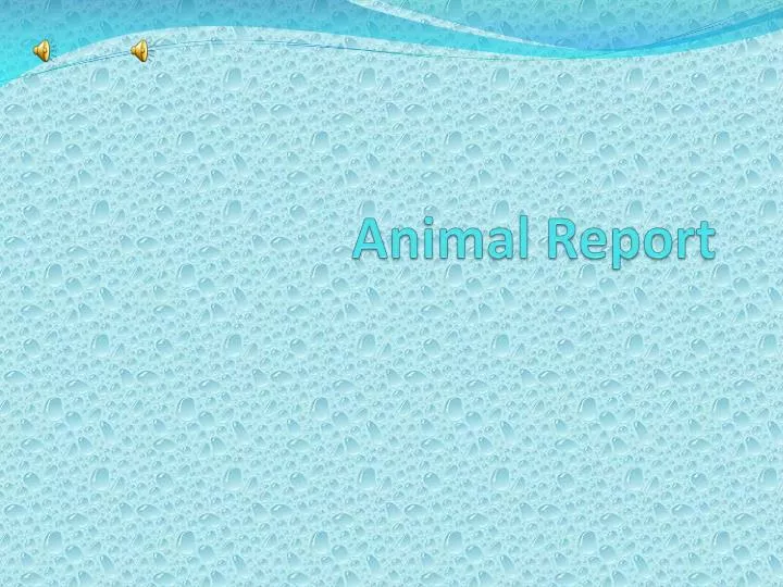 a nimal report