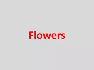 flowers