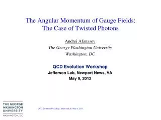The Angular Momentum of Gauge Fields: The Case of Twisted Photons