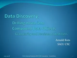 Data Discovery: Drilling down into 	Compound Data Objects - Granularity and Persistent Identifiers