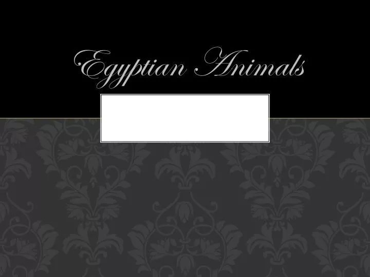 egyptian animals