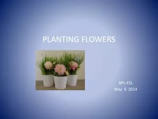 PLANTING FLOWERS