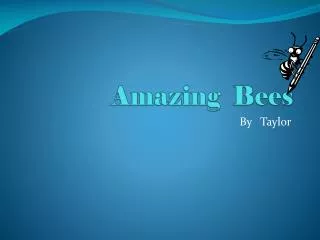 Amazing Bees
