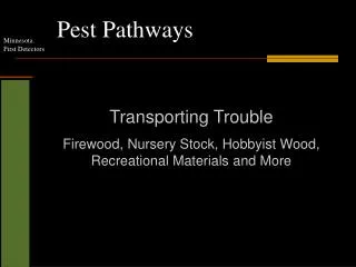 Pest Pathways