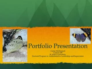 Portfolio Presentation