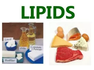 LIPIDS