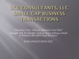 SCB Consultants, LLC Small Cap Business Transactions