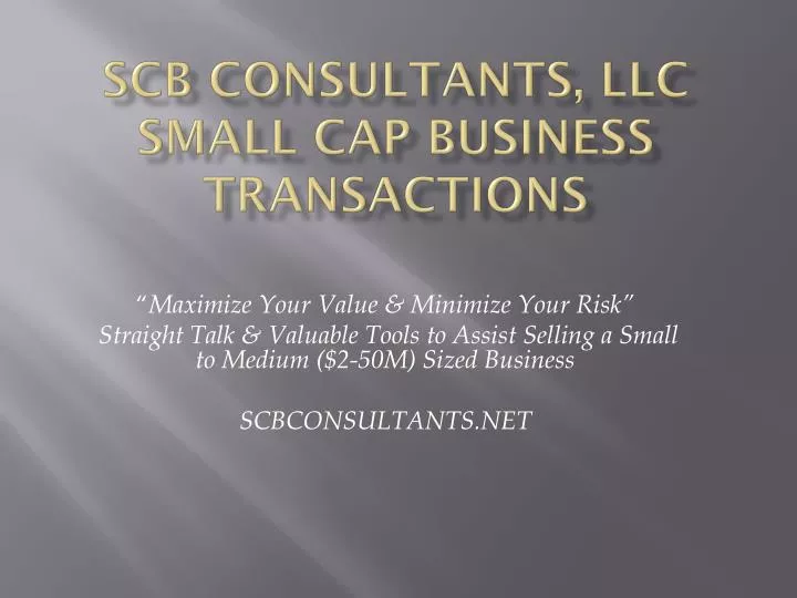 scb consultants llc small cap business transactions