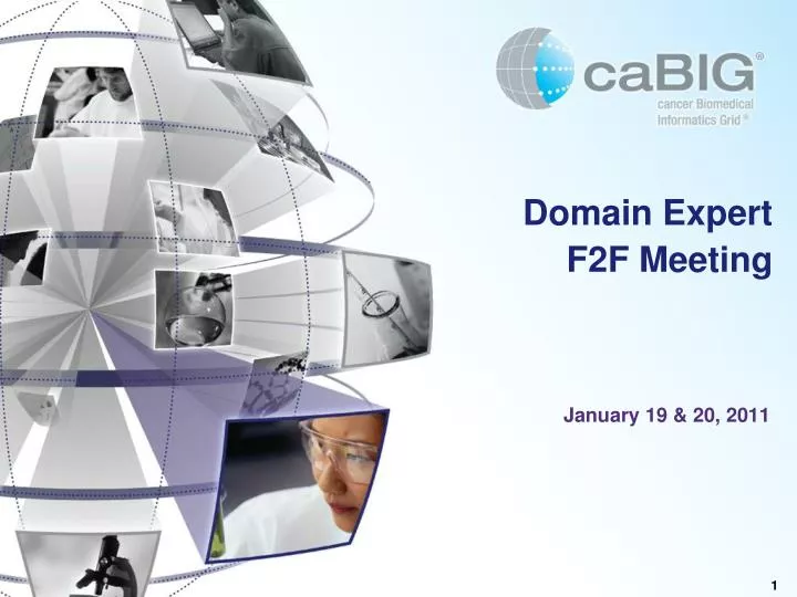 domain expert f2f meeting