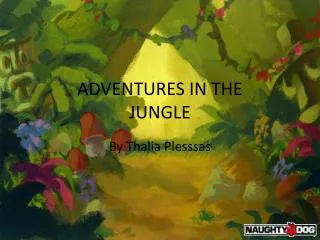 ADVENTURES IN THE JUNGLE
