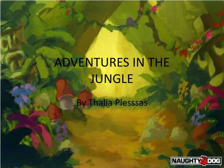 adventures in the jungle