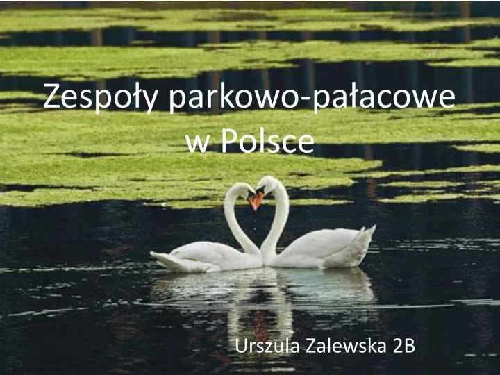 zespo y parkowo pa acowe w polsce