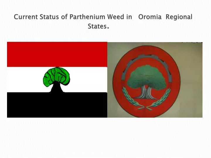 current status of parthenium weed in oromia regional states