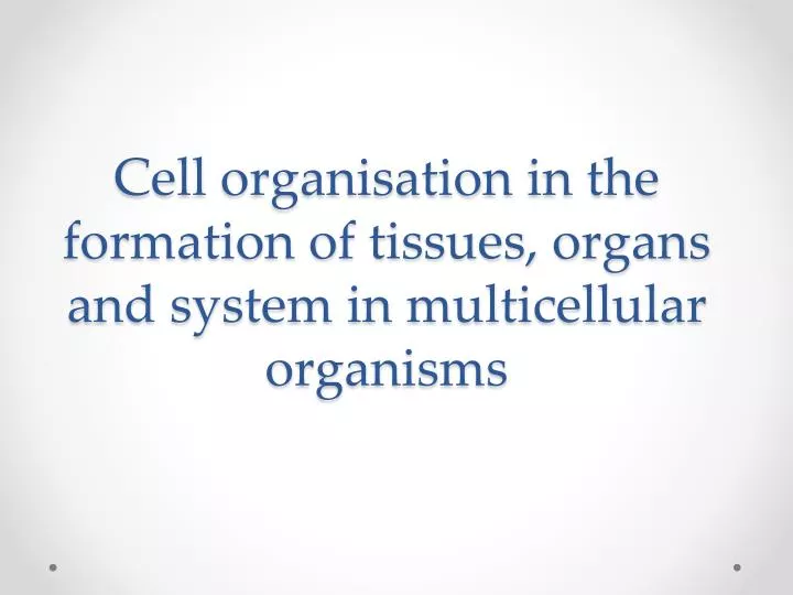 cell organisation in the formation of tissues organs and system in multicellular organisms