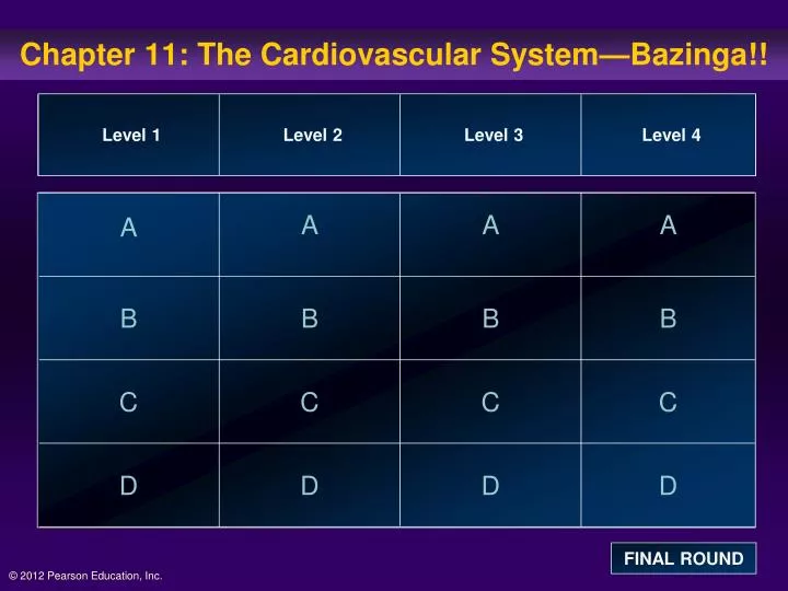 chapter 11 the cardiovascular system bazinga