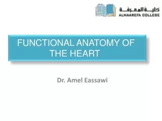 Functional Anatomy of the Heart