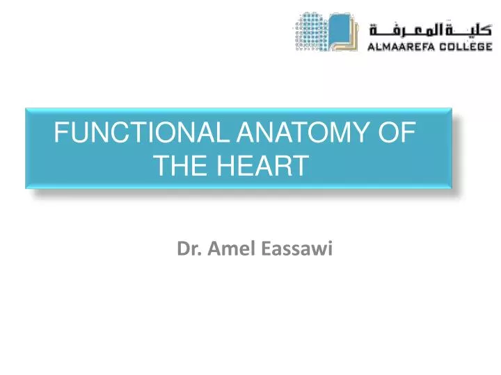 functional anatomy of the heart