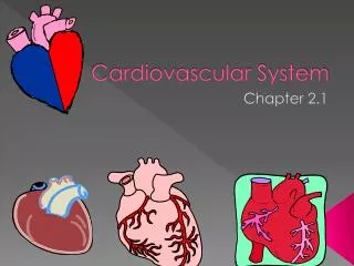 Cardiovascular System