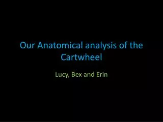 Our Anatomical analysis of the Cartwheel