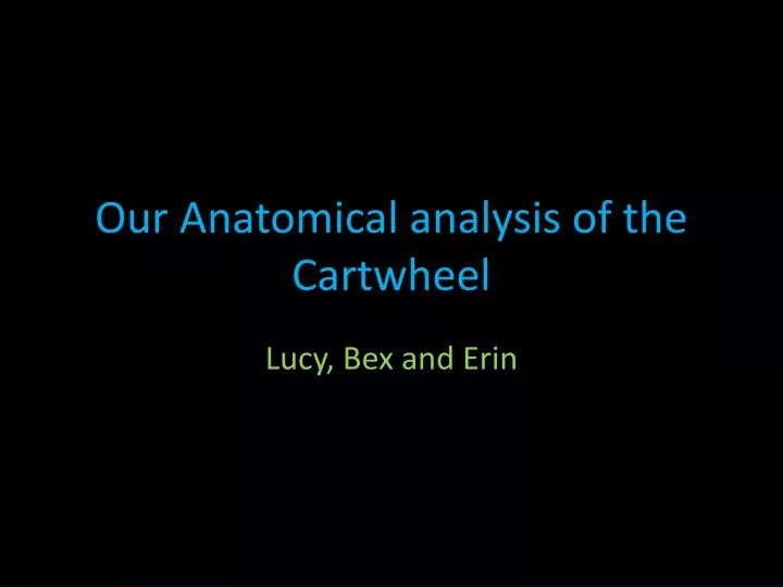 our anatomical analysis of the cartwheel