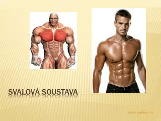 svalov soustava