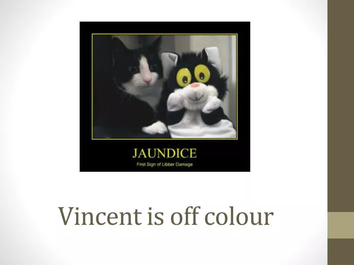 vincent is off colour