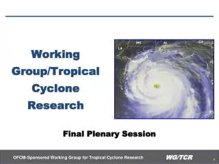 Working Group/Tropical Cyclone Research