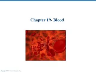 Chapter 19- Blood