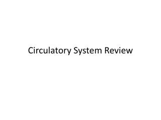 Circulatory System Review